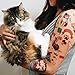 Cattoos!: Temporary Tattoos