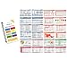 Scrubnotes - Medical Reference ID Badge Cards for Nurses and Doctors - 13 Card Set with Pocket Medical Abbreviation Booklet