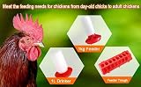 VandanCoop 1kg Chick Feeder & 1L Waterer Set Poultry Pigeon Coop Automatic view 5