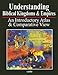 Understanding Biblical Kingdoms and Empires: An Introductory Atlas and Comparative View