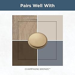 Franklin Brass Straight Bar Cabinet Pull, Champagne
