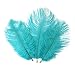 Ostrich Feather,Hgshow 20pcs Feathers 8-10inch(20-25cm) for Home Wedding Decor.
