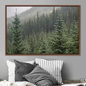 signwin Framed Canvas Wall Art Greenlands Aerial Dark...