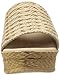Sbicca Women's Bungalow Wedge Sandal