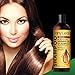 Moroccan Argan Oil Shampoo - Premium Salon Quality Sulfate Free Shampoo for Hair Loss Treatment, Thickens, Strengthens All Hair Types, Leaves Hair Smooth, Huge 16 oz (473 ml) Bottle