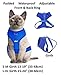 Dexil Luxury Cat Harness Padded and Water Resistant (Blue S-M)