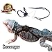 Soeenaper Lizard Leashes Adjustable Reptile Lizard Harness Leash Bearded Dragon Harness Lizard Rope (Black, Simple)