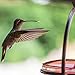Mosaic Birds Hummble Slim Hummingbird Feeder, M045-301, 3.4 Ounce Capacity, Clear, 1 Piece