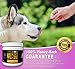 Skin and Coat Support for Dogs - Soothe Me: Skin and Coat Soft Chews (60 Count) - All Natural Chews Designed to Help Provide Healthier Skin and Coat - Helps Decrease Excessive Itching - Made in the USA
