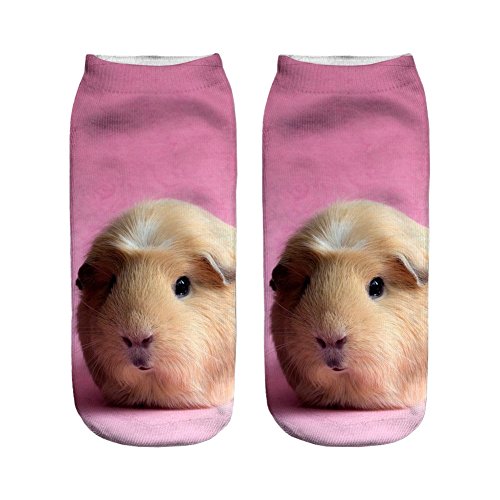 Guinea Pig Socks Kritters in the Mailbox Guinea Pig Sock