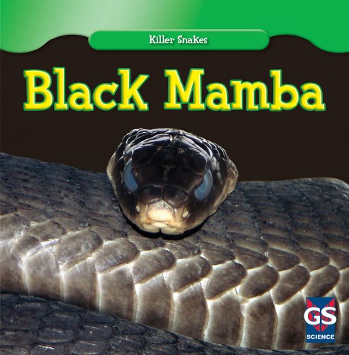 Black Mamba (Killer Snakes) Black Mamba (Killer Snakes)