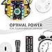 Tenergy 1.5V D Alkaline LR20 Battery, High Performance D Non-Rechargeable Batteries for Clocks, Remotes, Toys & Electronic Devices, Replacement D Cell Batteries, 12 Pack