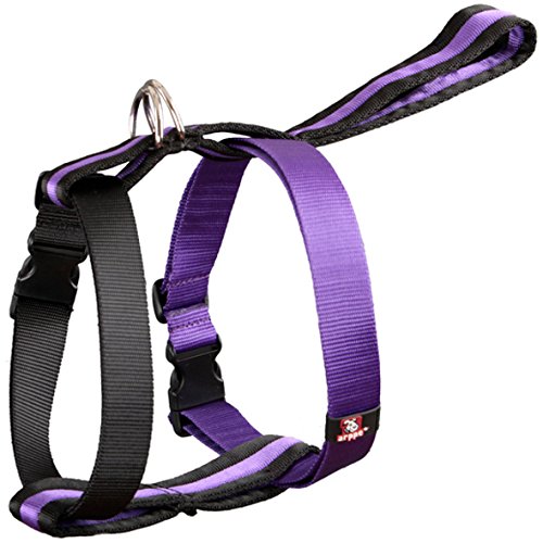 arppe 222904010121 Nylon Padded Harness with Strap Car, Black/Purple