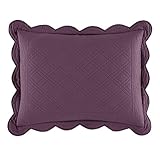 Brylanehome Florence Solid Standard Sham, Ea. (Plum,Stand)