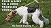 Ami Fidele-Rolled Leather Dog Slip Leash-Super Soft Walking/Training Lead,Gentle But Strong Leash for Small/Medium Size Dogs-3/8”x48”-Black +Free Video to Help with Pulling Dogs-Attractive Gift Box