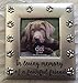 DEI Pet Picture Frame, 4.5