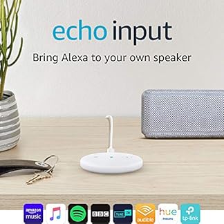 echo input amazon