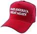 MAKE AMERICA GREAT AGAIN - Vote TRUMP 2016 - EMBROIDERED OR PRINTED CAP hat