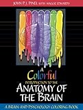 A Colorful Introduction to the Anatomy of the Human Brain: A Brain and Psychology Coloring Book by 