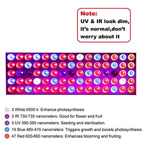 3 Lights+Spectrum+Indoor+Succulents+Seedling