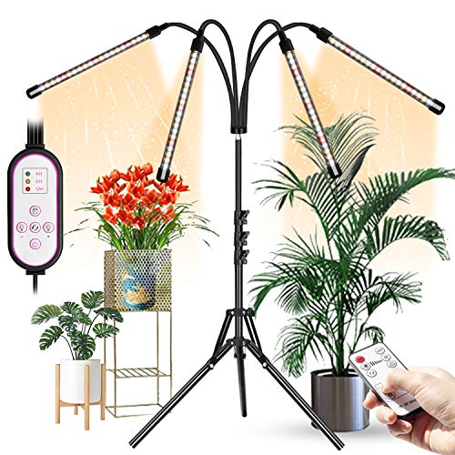 Amazon.ca Growing Lamps Patio, Lawn & Garden