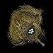 Nests: Fifty Nests and the Birds that Built Them