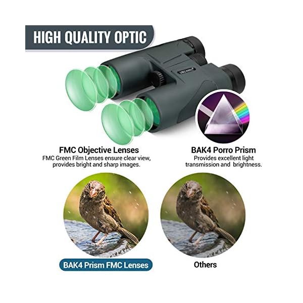 USCAMEL Fernglas Erwachsene 10x42 HD Kompakte Ferngläser Wasserdicht FMC-Linse Feldstecher Inkl Tragetasche, Tragegurt für Vogelbeobachtung, Wandern, Jagd, Sightseeing – Bild 4