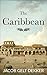 The Caribbean by Jacob Gelt Dekker