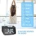 Small Digital Alarm Clock Radio - Dual Alarm, 7 Wake-up Sounds, Display Dimmer, 2 USB Charger, Sleep Timer, Easy to Set, Thermometer, FM Radio Clock w/Battery Backup for Bedrooms, Office, Desk, Travel