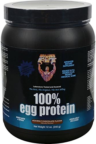 Healthy N Fit 100% Egg Protein Heavenly Chocolate 12 oz