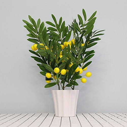 PAFHXY Home Decor Fruit Orange Cherry Tree Emulate Bonsai Simulation Decorative Artificial Flowers Fake Green Pot Plants Ornaments (Lemon)