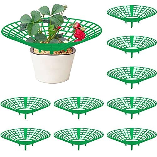 Wuyue Hua 10 Pack Strawberry Plant Support Stand, Green Plastic, Garden Stakes, Plant Support Style, Multipurpose for Strawberries and Melons