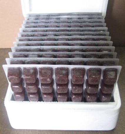 天然 無添加 無着色 冷凍アカムシ 赤虫 100g 35キューブ １２シート クール便発送 餌 通販 Amazon