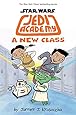 A New Class (Star Wars: Jedi Academy #4)