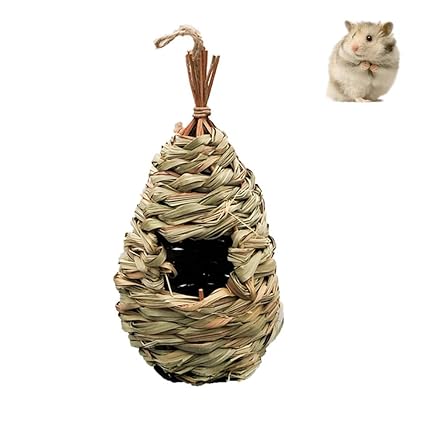 1 Pc Naturel Herbe Créative Nid Doiseau En Paille Tissé