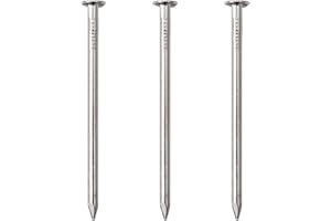 JEGONFRI 120pcs Hardware Nails, 2 Inches Nickel Plated Hanging Nails, Wall Nails for Hanging, Wood Nails, Long Nails (2 in)