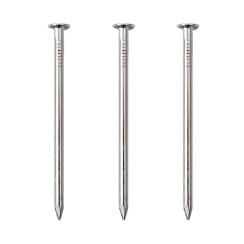120pcs Hardware Nails, Inches Nickel Plated Hanging Nails, Wall Nails for  Hanging, Wood Nails, Long Nails (2 in) in Oman Whizz Common Nails
