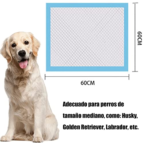 Almohadillas de Entrenamiento Desechables para Mascotas,Almohadillas Desechables para Orinal para Perros ,40 Piezas Súper Absorbentes y a Prueba de Fugas,Grandes 60X60CM,para Perros, Gatos, Conejos