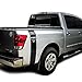 Bubbles Designs 2 X Decal Sticker kit Compatible with Nissan Titan