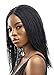 JBG SERVICES Micro Million Twist Wig – 12-inch Micro Twist Hair Wig – Hand-Braided Micro Twist Wig with 2x6 Lace Closure – Synthetic Twist Wigs for Black Women – Natural-Looking – Color (01)
