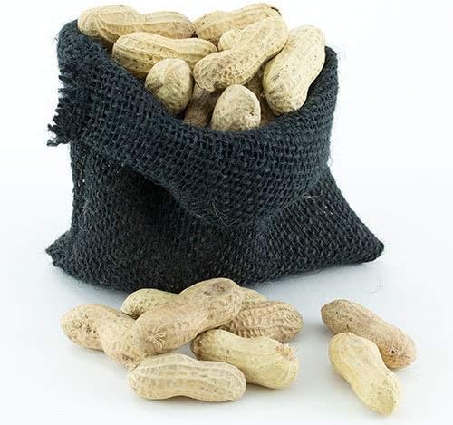Great Companions in Shell Peanuts, Bird Treat- 25 lbs