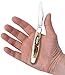 Case XX WR Pocket Knife Medium Stockman With Genuine Bone Handle, Stainless Steel Blades, Length Closed: 3 5/8 Inches