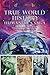True World History: Humanity's Saga