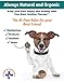 Skin Soother Healing Paw Balm - for Dogs and Cats , Calms Skin Irritations, Hot Spots & Wounds, Natural Paw Cream Butter Balm for Dogs Paw & Nose - Ideal for All Extreme Hot & Cold Weather Conditions!