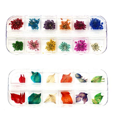 LONG TAO 2 Boxes (48 Pieces) Mini Natural Dried Flowers and Leaves Dried ammi majus Flower for Resin Jewelry Pendant Bracelet Scrapbooking Arts & Crafts DIY Cards Making