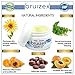 BRUIZEX Bruise Care Cream, 1 oz. Bruise Removal Cream with Natural Arnica Montana and Vitamin K | Excellent for Reducing Skin Bruises, Pain and Swelling | Encourages Recovery After Surgery or Injury