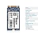 TC SUNBOW M.2 2242 32GB SSD NGFF 240GB 256GB Solid State Drive Disk for Ultrabook Desktop PCs and Mac Pro (22 * 42mm) (32GB)