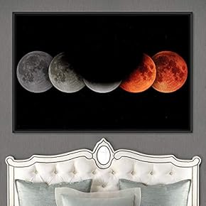 signwin Framed Canvas Wall Art Moon Phase Aerial...