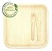 Holiday Party 75-Piece Dinnerware - 25 Large 10