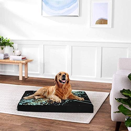 ペットベット 物理学の壁紙 ペットマット 中型犬に最適 掃除しやすい 暖かい 滑り止め 洗える 通年使える B085q1rcsz 2 168円 人気海外一番 100 品質保証 全品送料無料 即日出荷 Sale開催中